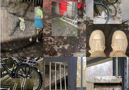 Visual ethnography of more-than-human actors (UME)